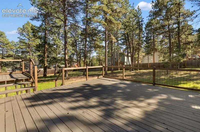 1005 W Lorraine Avenue, Woodland Park, CO 80863 - #2