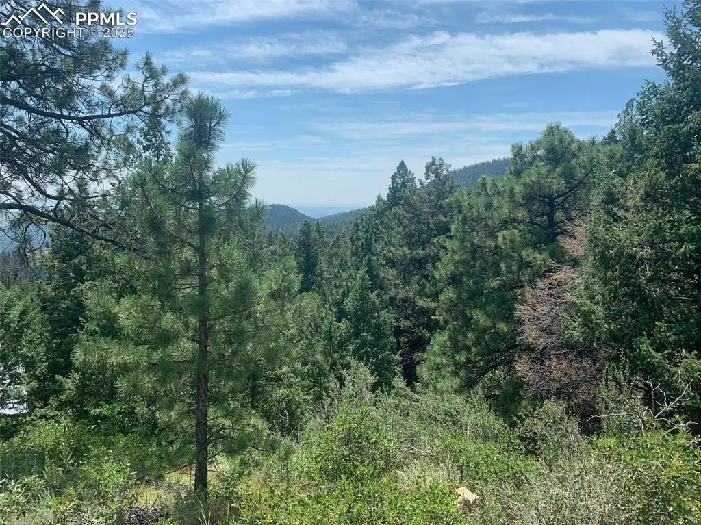 3435 Little Turkey Creek Road, Colorado Springs, CO 80926 - Image #1