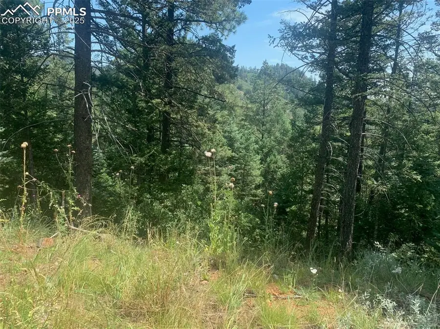 3435 Little Turkey Creek Road, Colorado Springs, CO 80926 - Image #2