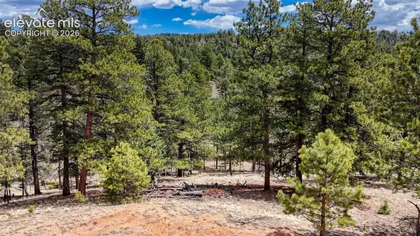 16 View Circle, Florissant, CO 80816