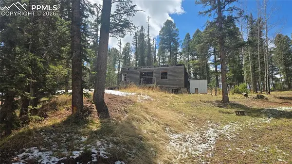 129 Mt Elbert Road, Florissant, CO 80816