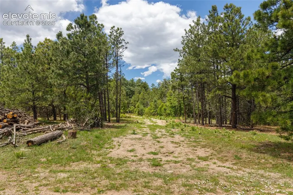 8719 Ponderosa Pine Drive, Beulah, CO 81023 - #1