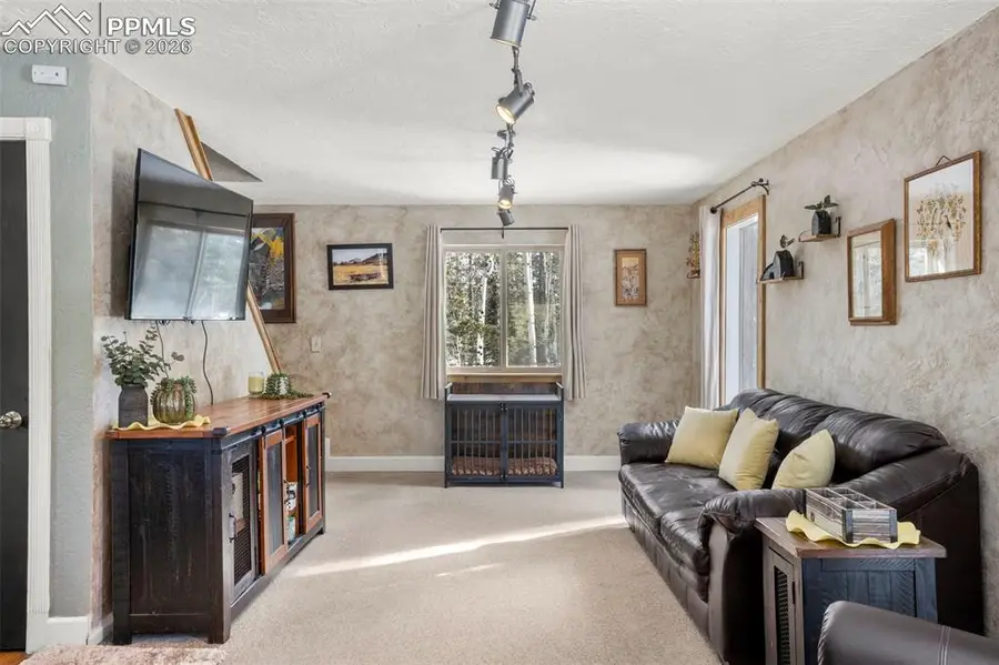 4076 Omer Lane, Divide, CO 80814 - Image #3