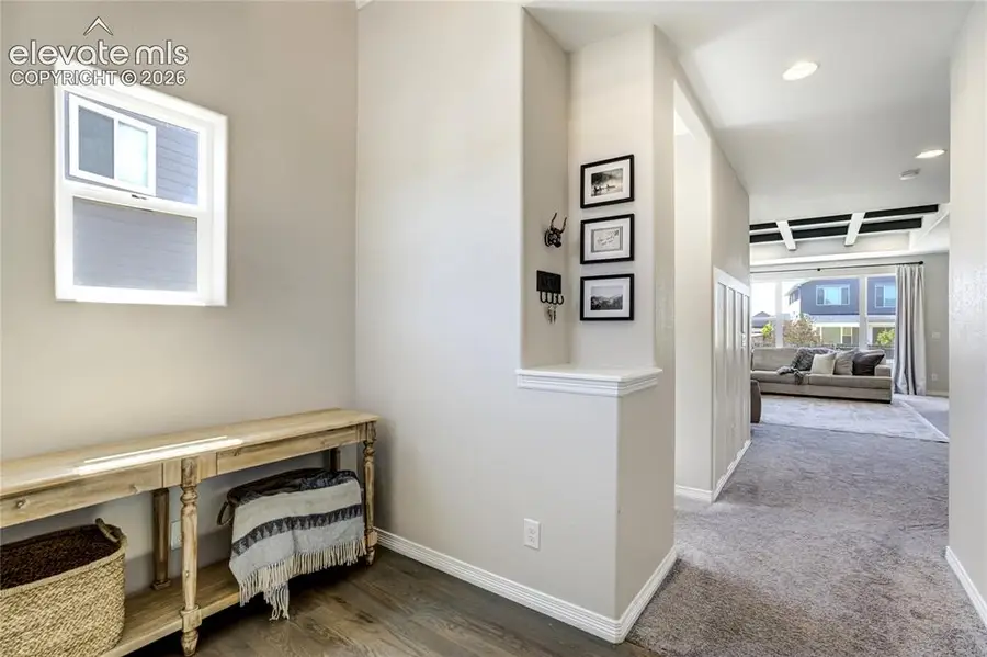 7664 Alpine Daisy Drive, Colorado Springs, CO 80925 - #2