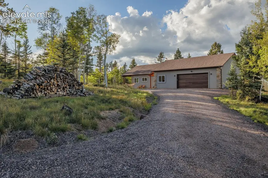 549 Aspen Village Road, Divide, CO 80814 - #3