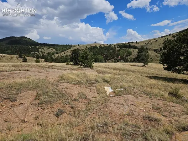 617 S 3rd Street, Victor, CO 80860