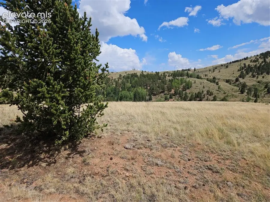 617 S 3rd Street, Victor, CO 80860 - #3