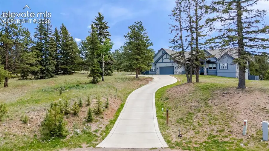407 Silvermoon Heights, Divide, CO 80814 - #2