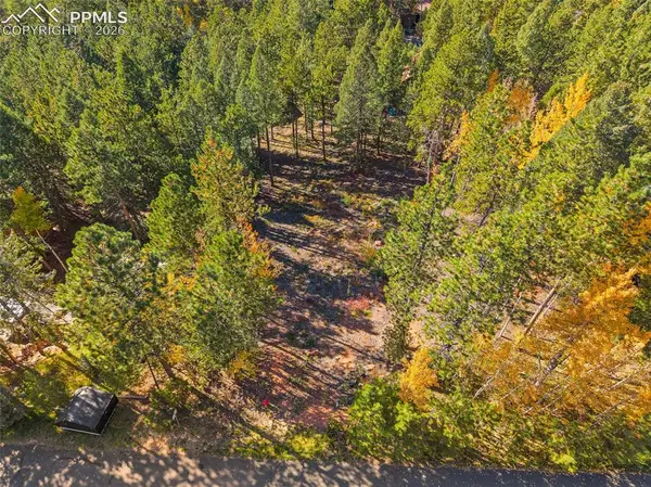 1320 Forest Edge Road, Woodland Park, CO 80863