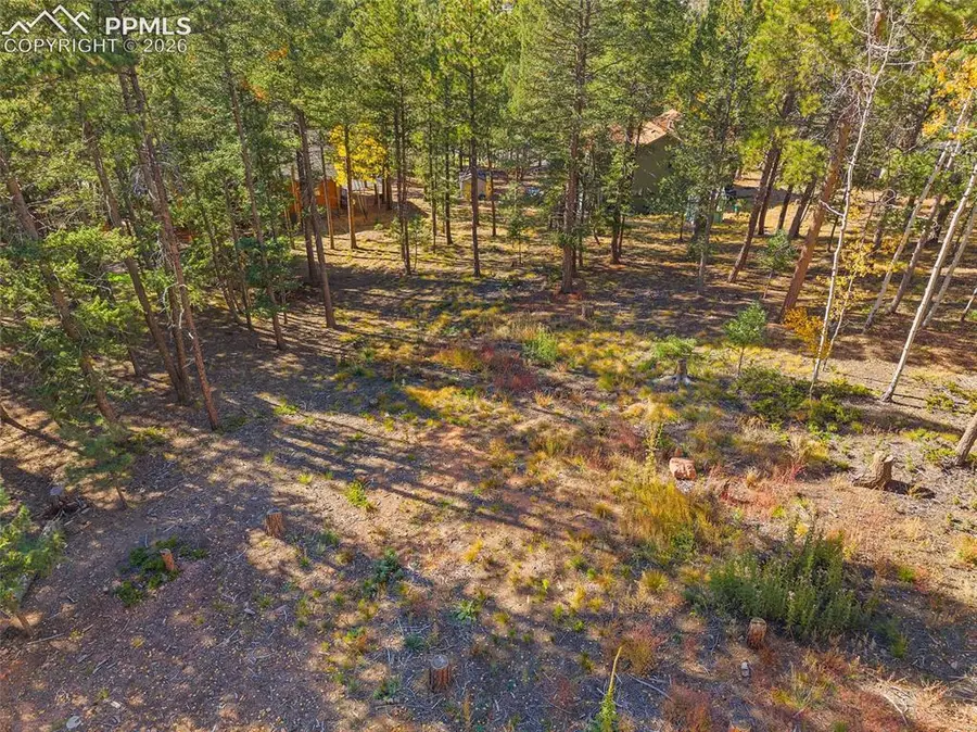 1320 Forest Edge Road, Woodland Park, CO 80863 - #3