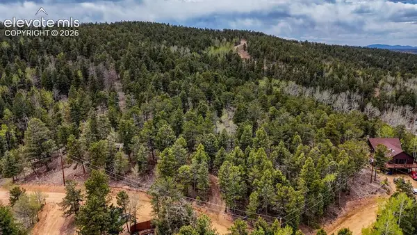 259 Potlatch Trail, Woodland Park, CO 80863