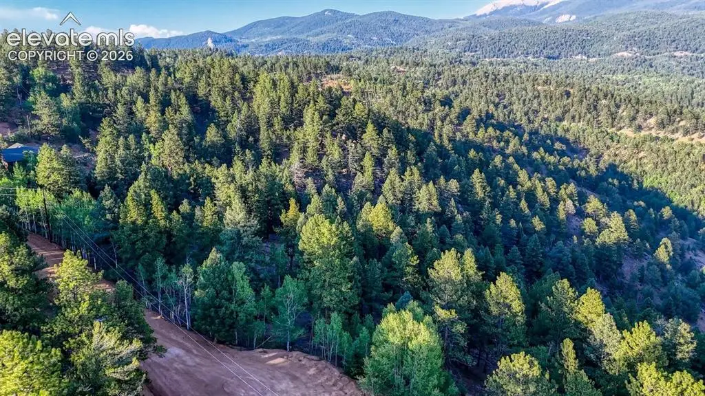 364 Blue Spruce Road, Divide, CO 80814 - #1