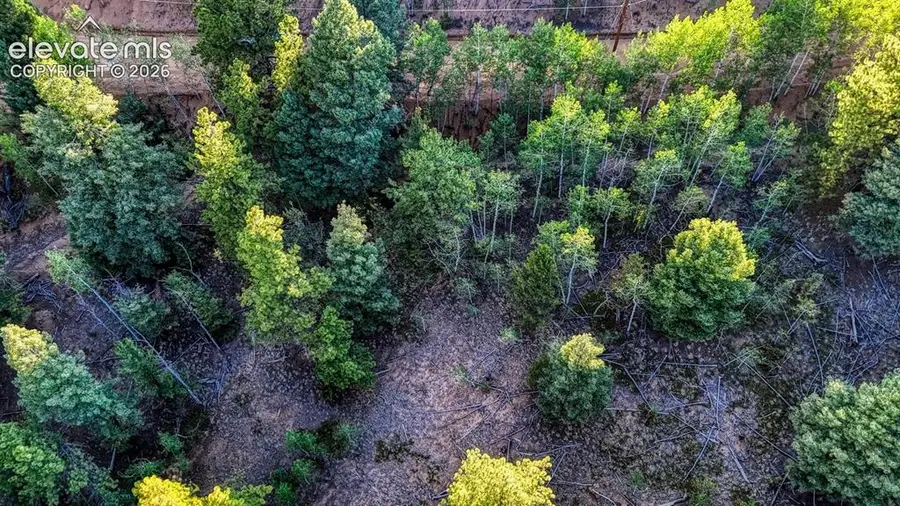 364 Blue Spruce Road, Divide, CO 80814 - #2