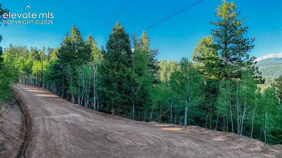 364 Blue Spruce Road, Divide, CO 80814 - #3