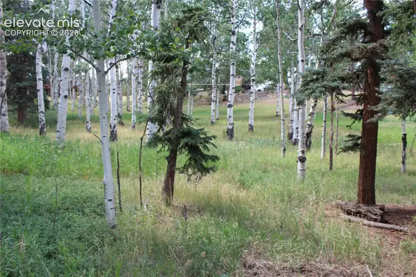 175 Club Drive, Woodland Park, CO 80863