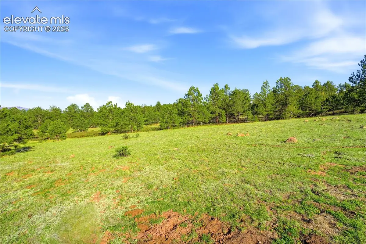 Doe Valley Road, Guffey, CO 80820 - #1