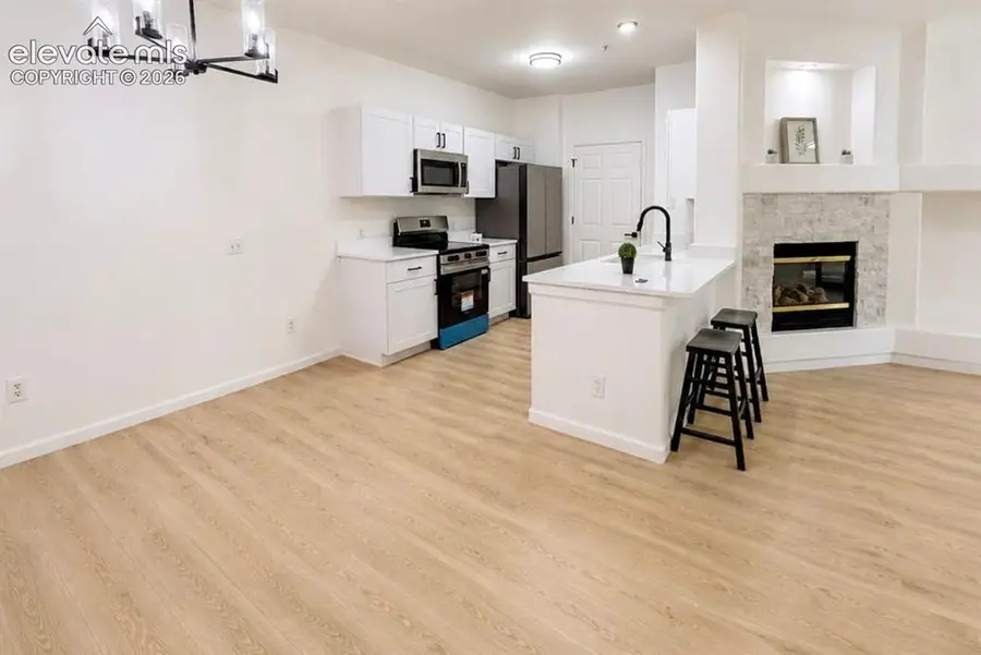 494 Black Feather Loop #106, Castle Rock, CO 80104 - #3