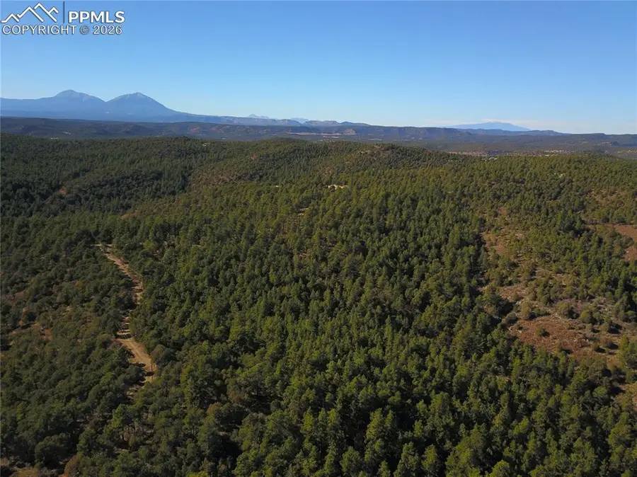 000 Ponderosa Trail, Trinidad, CO 81082 - #3