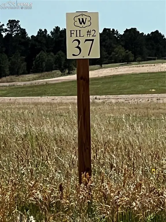 16990 Early Light Drive, Colorado Springs, CO 80908 - Image #2