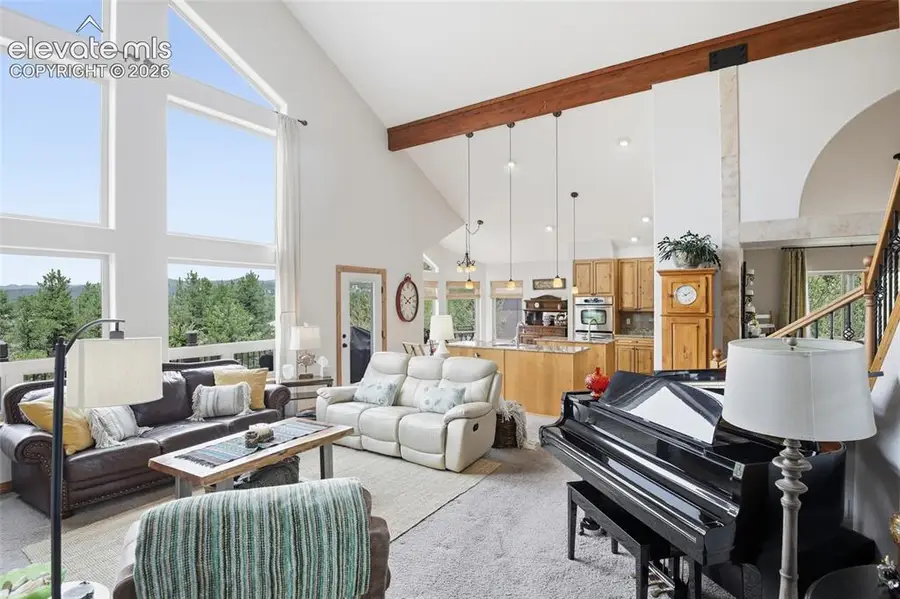 220 Eagle Pines Drive, Woodland Park, CO 80863 - #3