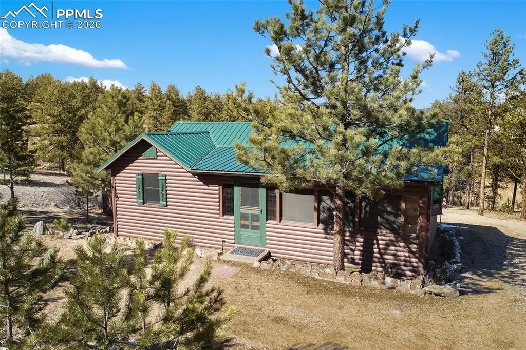 45 Conductor Lane, Lake George, CO 80827 - #1