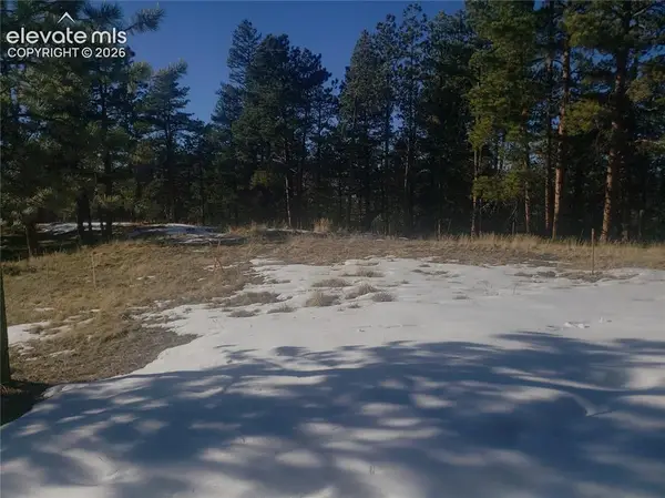 206 Eagles Perch Place, Woodland Park, CO 80863