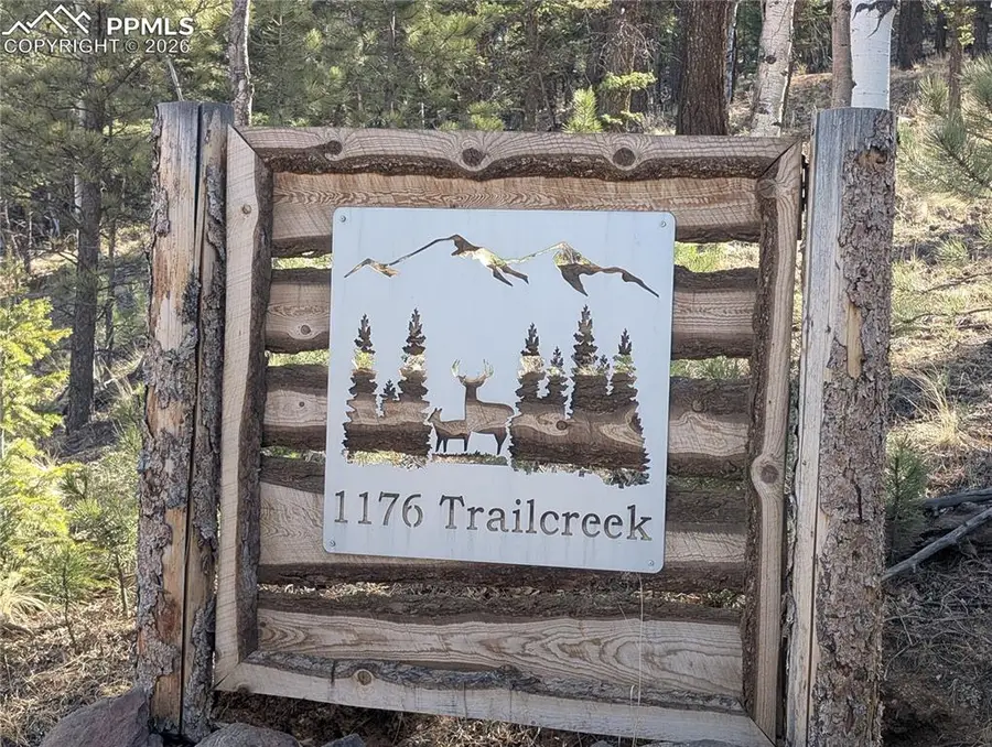 1176 Trail Creek Road, Lake George, CO 80827 - #2