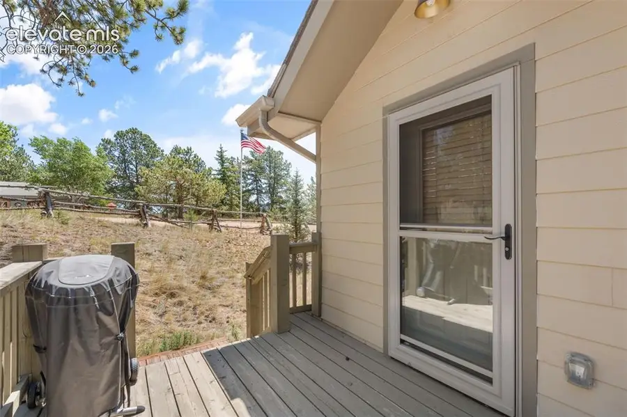 319 Maroon Lake Circle, Divide, CO 80814 - #3