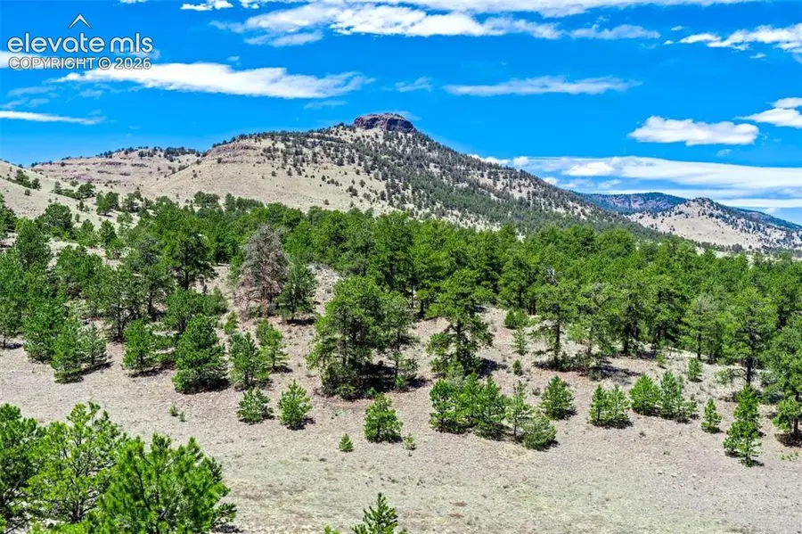 00 Roan Trail, Guffey, CO 80820 - #2
