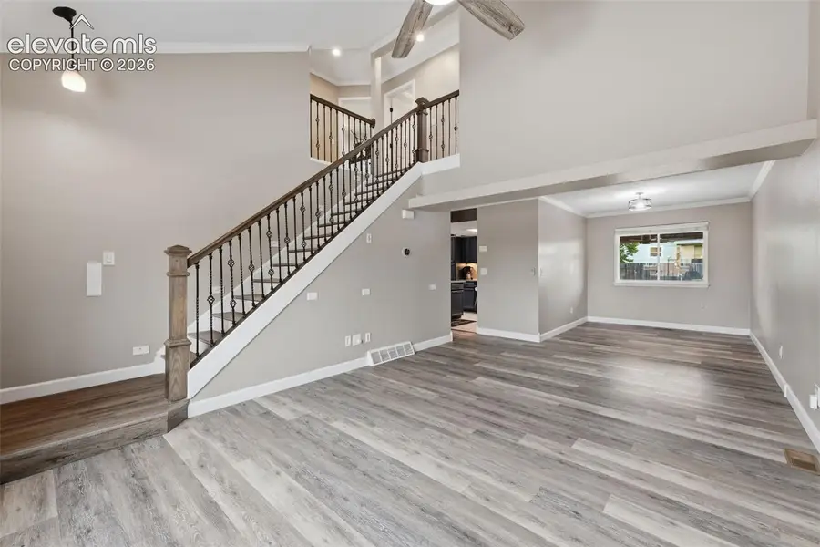 8205 Turkey Run Drive, Colorado Springs, CO 80920 - #3