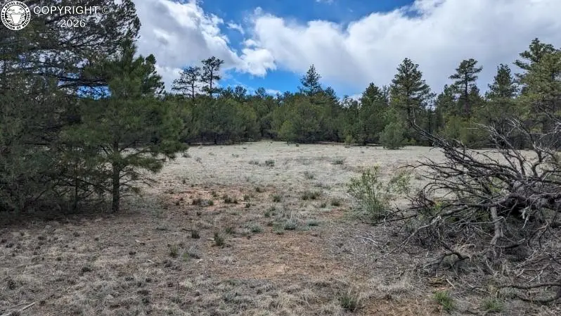 tbd 17th Trail, Canon City, CO 81212 - #1