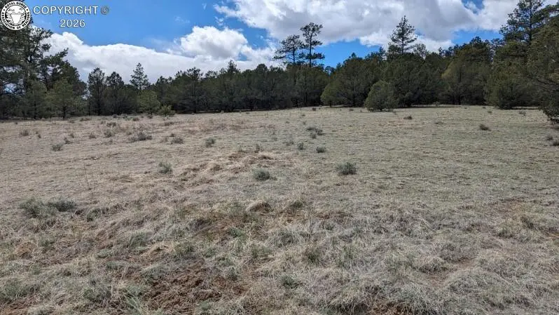 tbd 17th Trail, Canon City, CO 81212 - #2