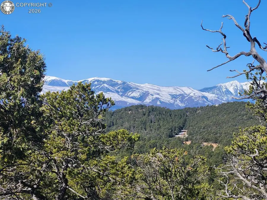 50 Cottonwood Drive, Cotopaxi, CO 81223 - #3