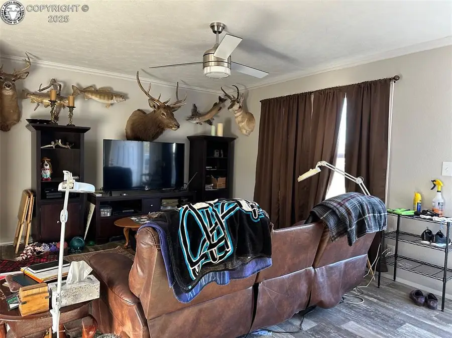 215 N Quail Court, Rockvale, CO 81244 - Image #2