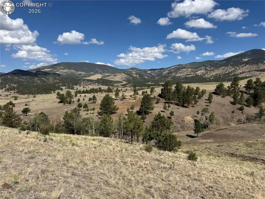 814 County Road 169a, Cotopaxi, CO 81223 - #3