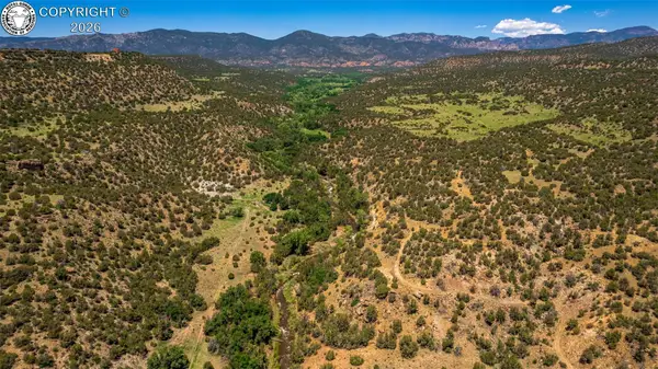 TBD Highway 115, Penrose, CO 81240