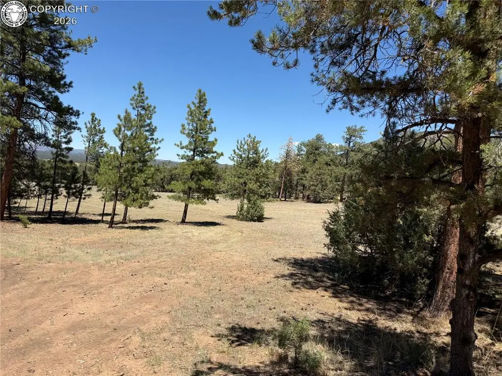 TR-145 J Path, Cotopaxi, CO 81223 - #1