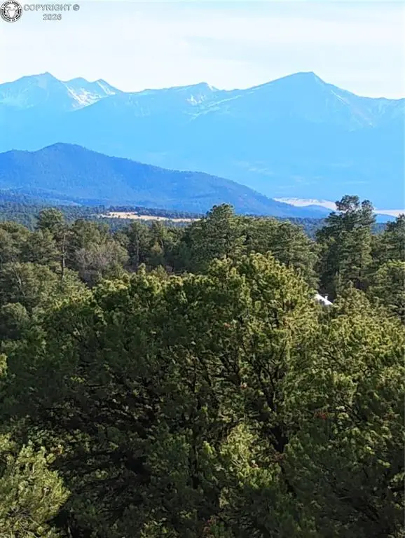 1105 Owens Lane, Cotopaxi, CO 81223