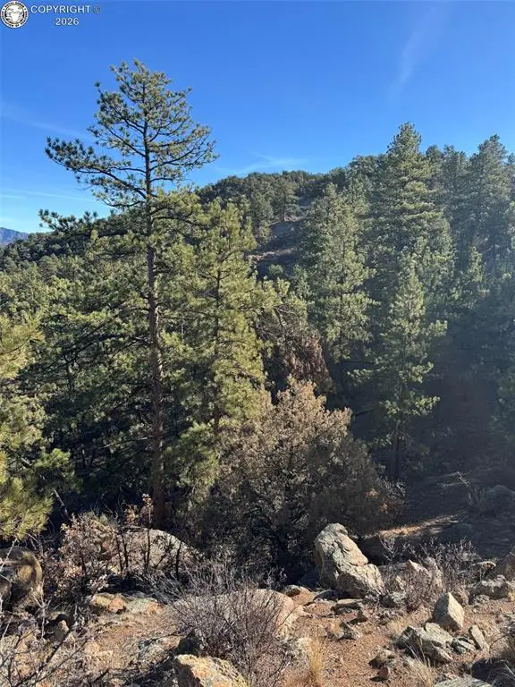 44th Trail G Path, Cotopaxi, CO 81223 - #2