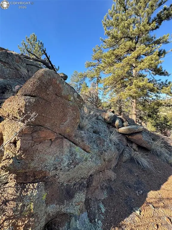 44th Trail G Path, Cotopaxi, CO 81223 - #3