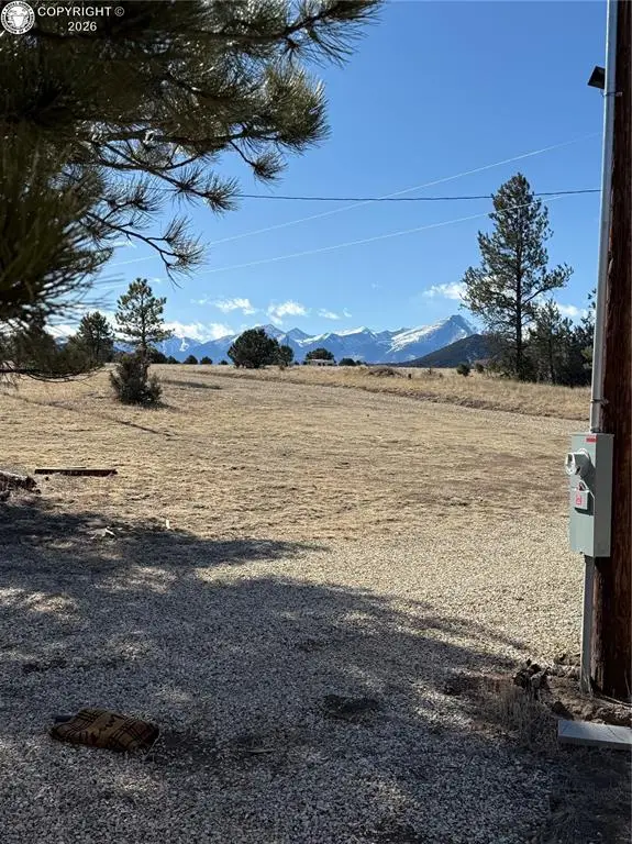 1446 13th Trail, Cotopaxi, CO 81223 - #2