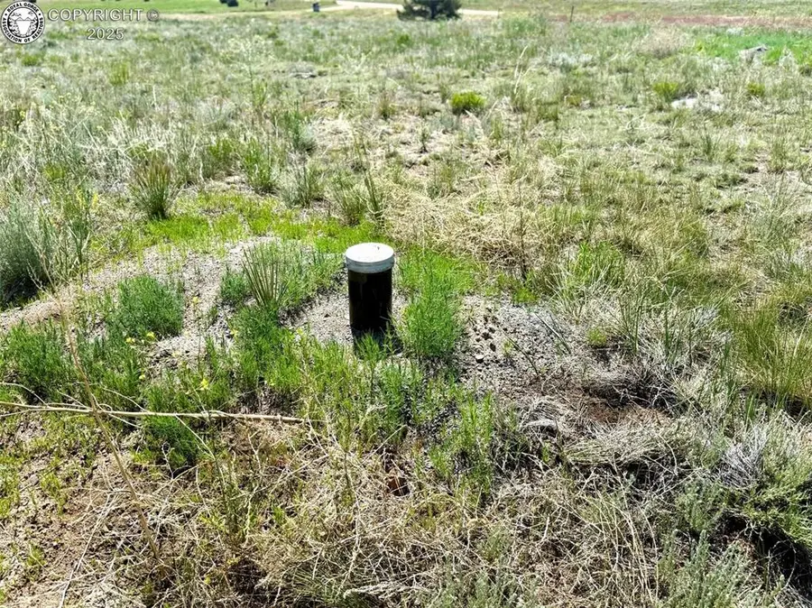 1888 19th Trail, Texas Creek, CO 81223 - Image #2