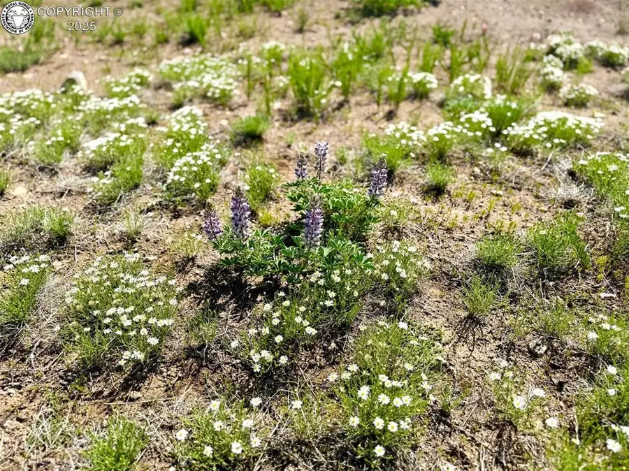 1888 19th Trail, Texas Creek, CO 81223 - Image #3