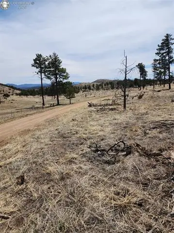 377 Color Sweet Drive, Cotopaxi, CO 81223 - #1