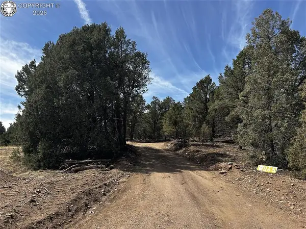 2065 Indian Wells Road, Cotopaxi, CO 81223
