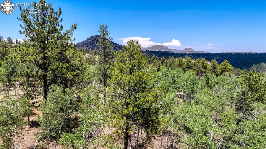 920 Vista De Aspen Road, Westcliffe, CO 81252 - #2