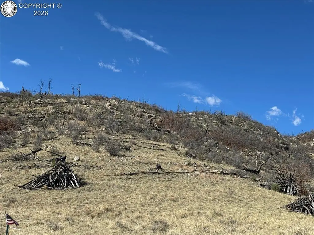 TR-38 37th Trail, Cotopaxi, CO 81223 - #1