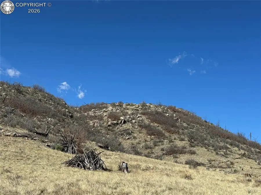 TR-38 37th Trail, Cotopaxi, CO 81223 - #2