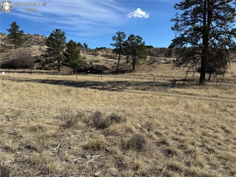 TR-38 37th Trail, Cotopaxi, CO 81223 - #3