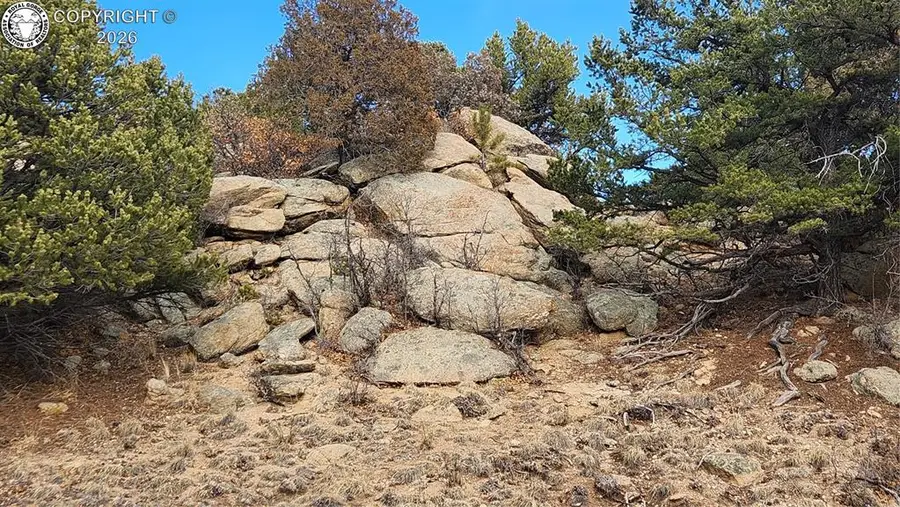 47 White Cloud Drive, Cotopaxi, CO 81223 - #2